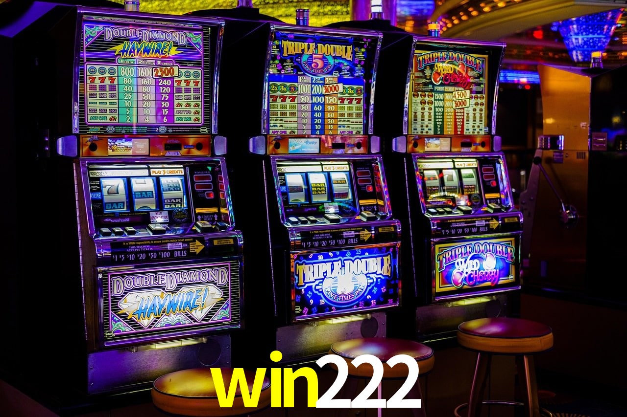 Experiência VIP win222